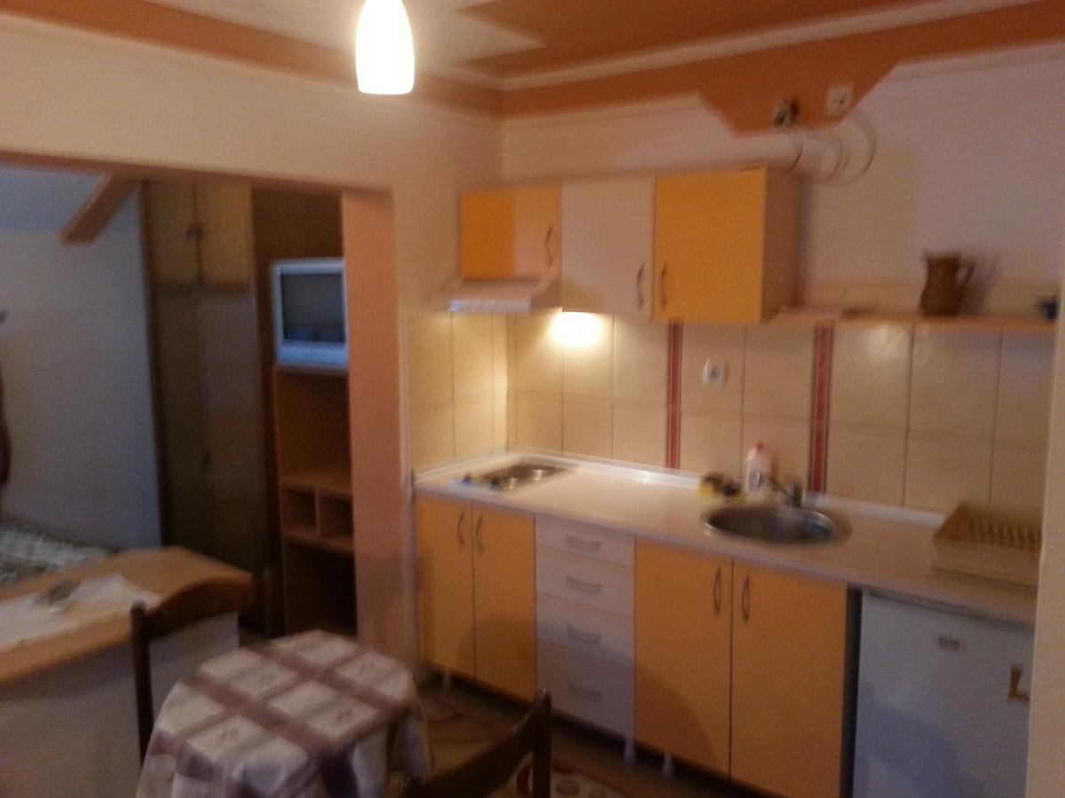 Vila Stojkovic Zlatibor Apartman Kültér fotó