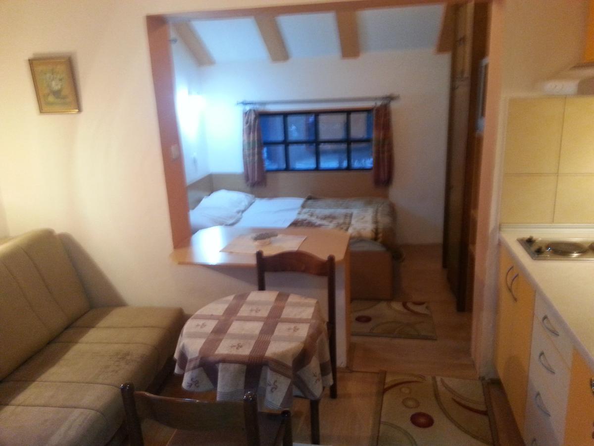 Vila Stojkovic Zlatibor Kültér fotó