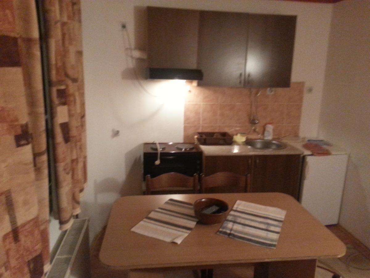 Vila Stojkovic Zlatibor Apartman Kültér fotó