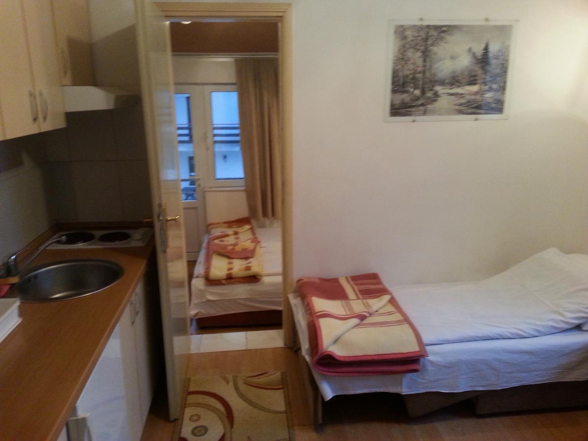 Vila Stojkovic Zlatibor Kültér fotó