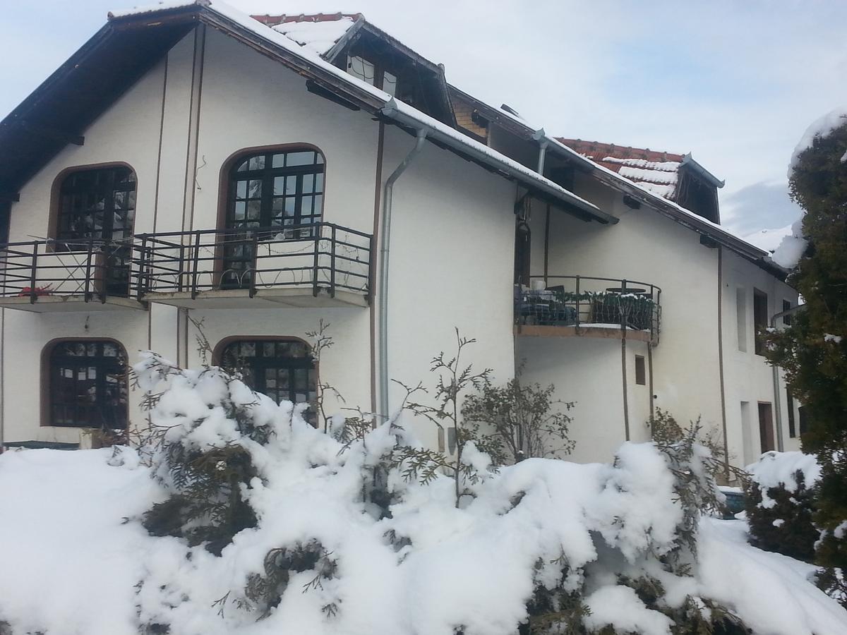 Vila Stojkovic Zlatibor Apartman Kültér fotó