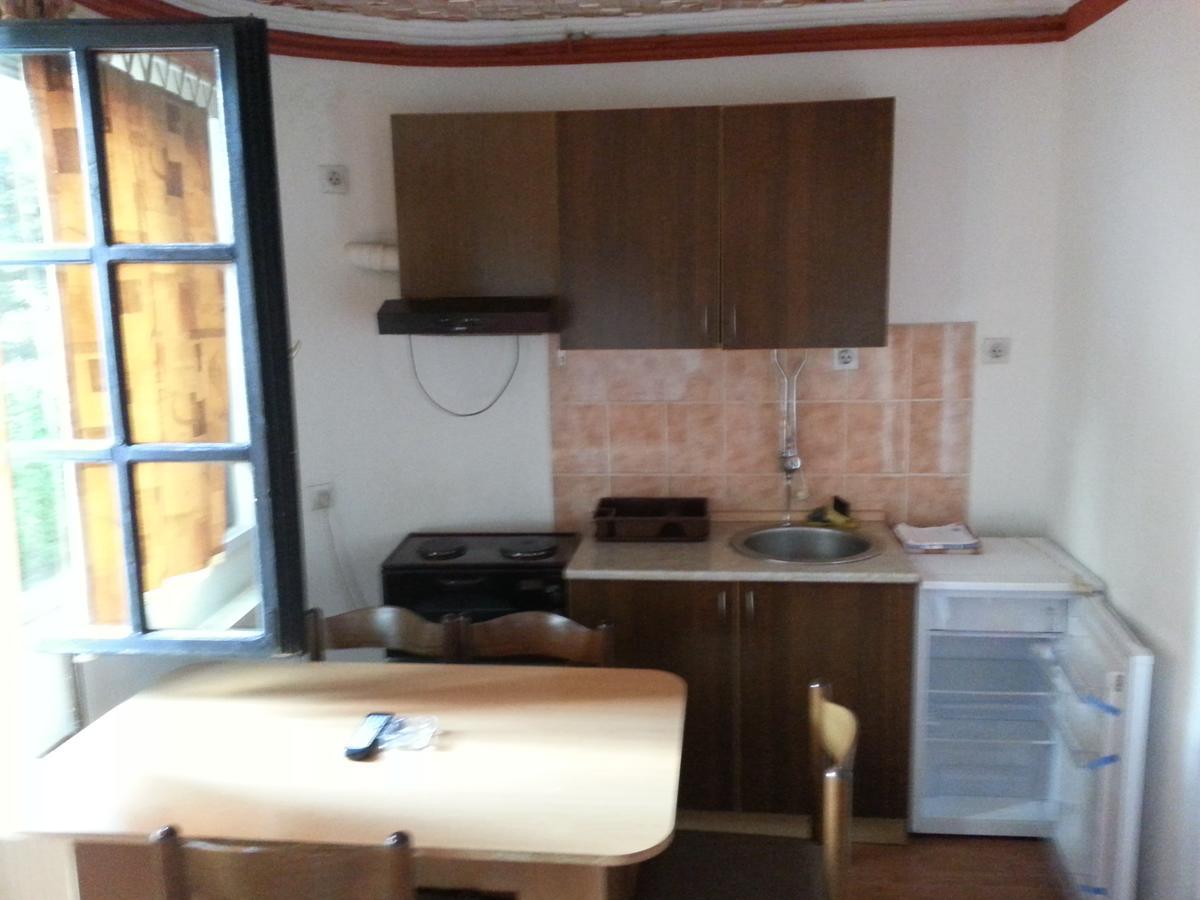 Vila Stojkovic Zlatibor Kültér fotó
